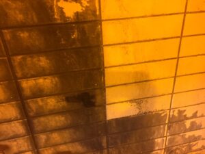 茨城県日立市トンネルエフロ除去作業4
