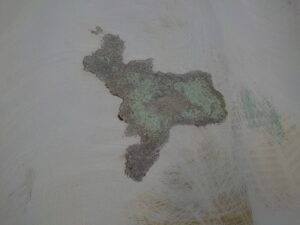 実験室床塗装作業_磨き工程3