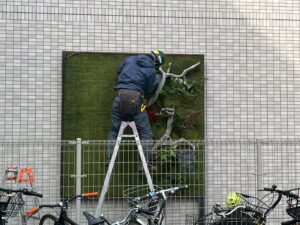 西早稲田_壁面アート緑化3