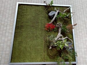 西早稲田_壁面アート緑化4